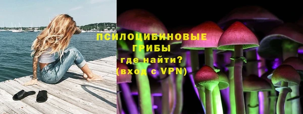 гашик Абдулино