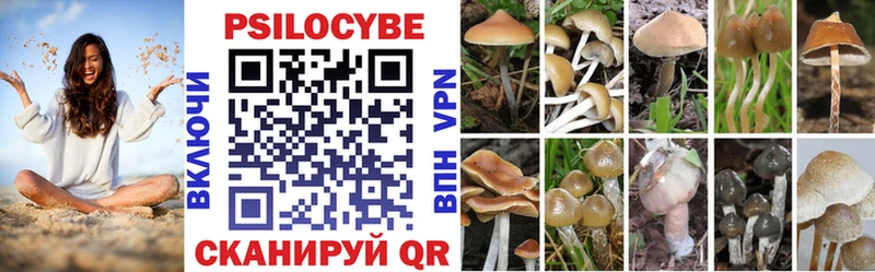 Галлюциногенные грибы прущие грибы  Нижнекамск 