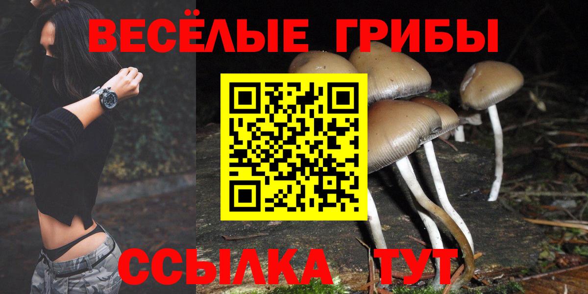 Галлюциногенные грибы Cubensis  Вход с VPN  Нижнекамск 